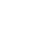 olive branch dove 2