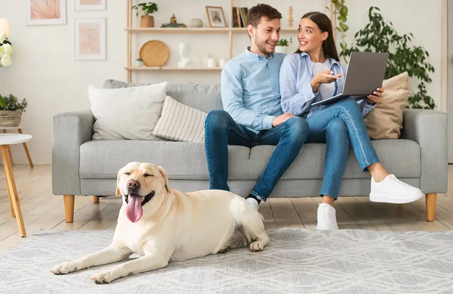 Should I Allow Pets in My San Diego Rental